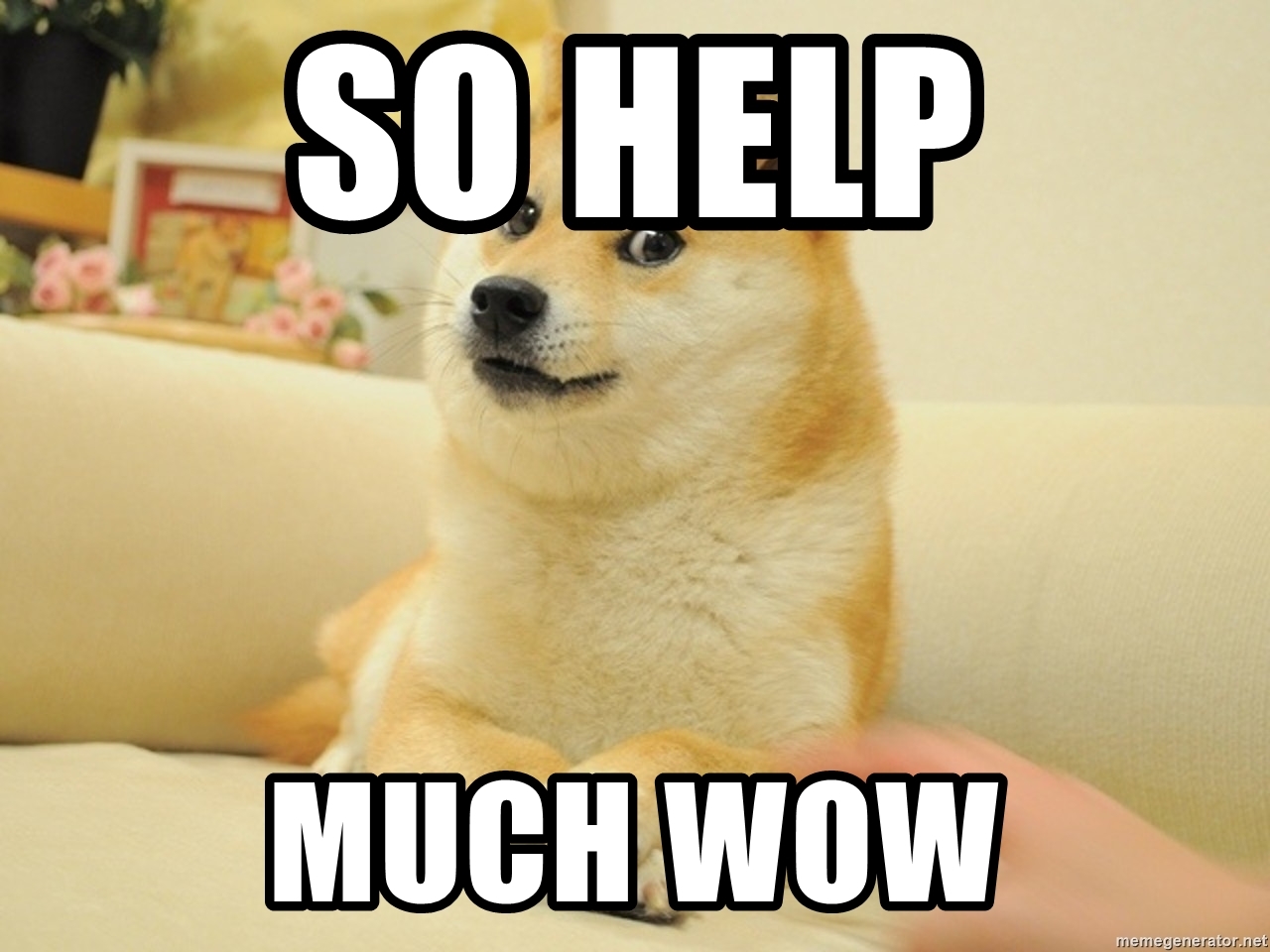Picture of help doge